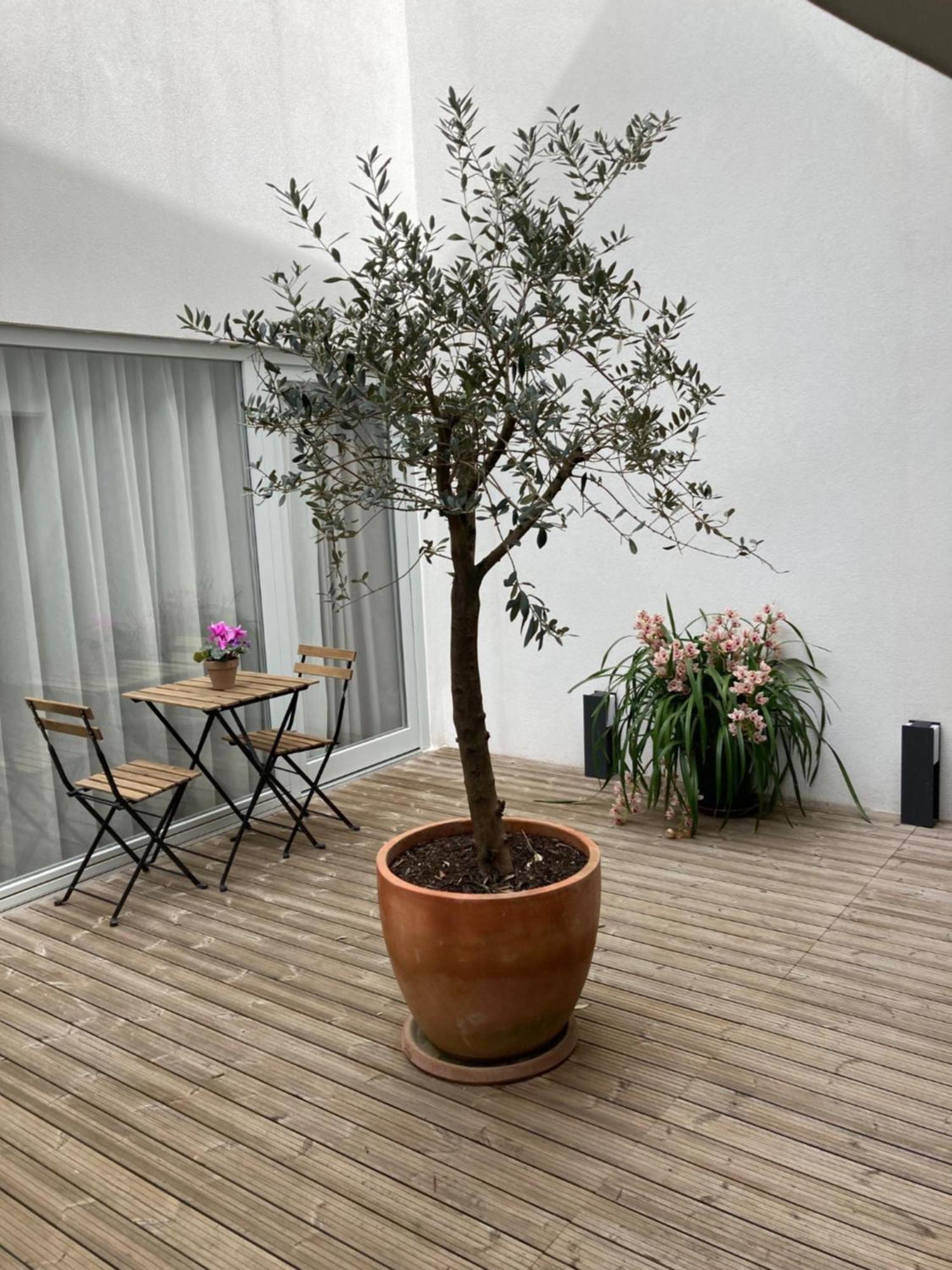 Ribeira Flores 59 Downtown Apartments Πόρτο Εξωτερικό φωτογραφία